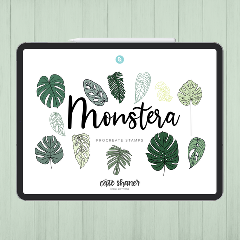Monstera Procreate Stamps